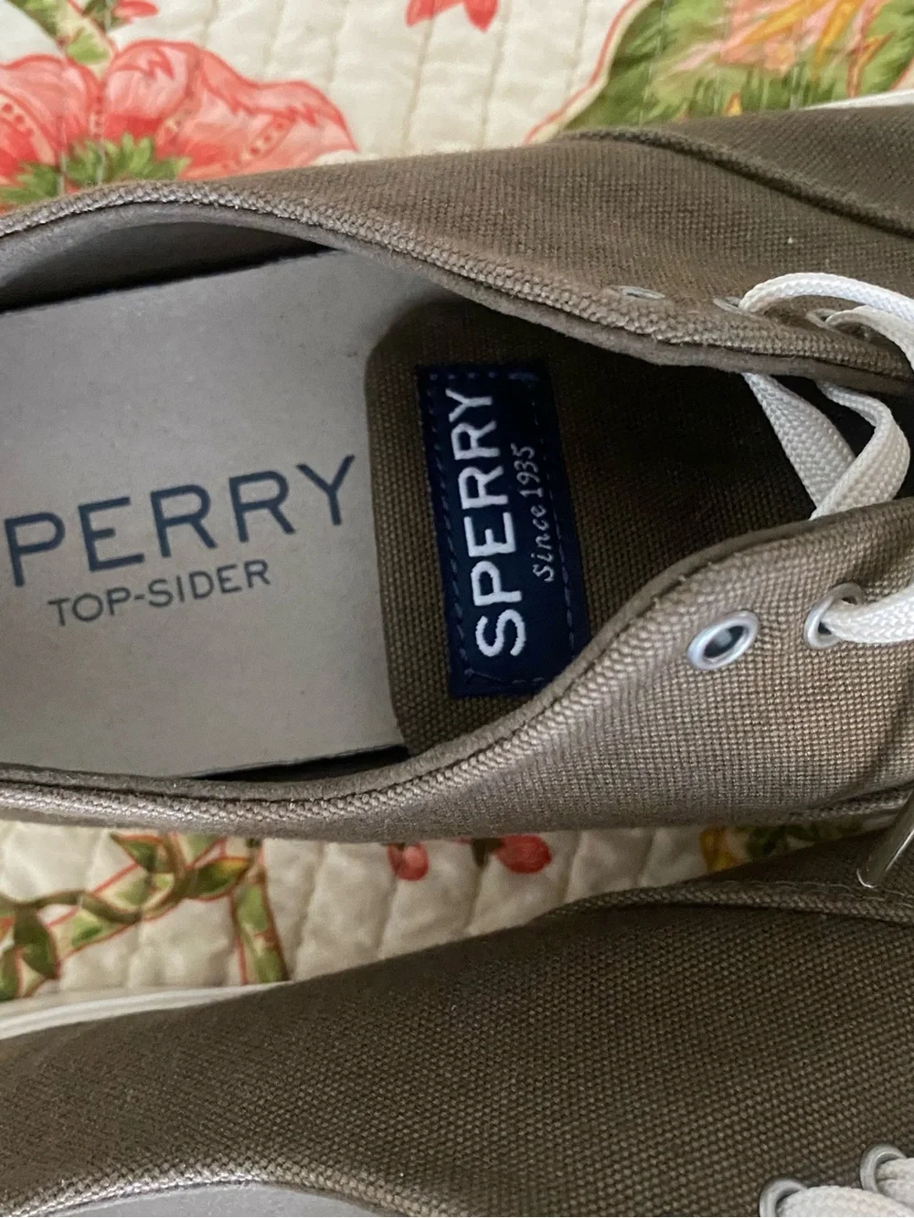 Sperry casual canvas